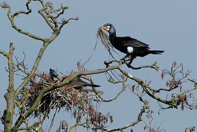 BUITEN BEELD Foto: 86380