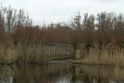 BUITEN BEELD Foto: 86434
