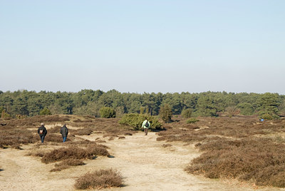 BUITEN BEELD Foto: 86441
