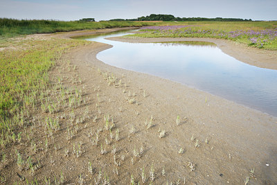 BUITEN BEELD Foto: 86453