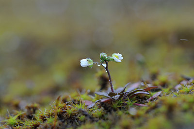 BUITEN BEELD Foto: 86470