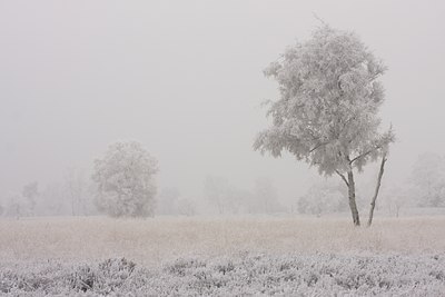 BUITEN BEELD Foto: 86479