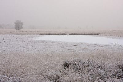 BUITEN BEELD Foto: 86481