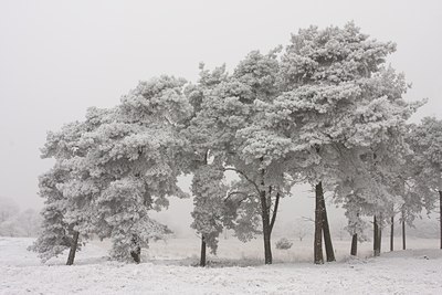 BUITEN BEELD Foto: 86482