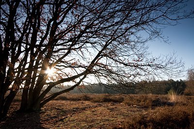 BUITEN BEELD Foto: 86508