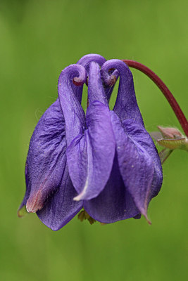 BUITEN BEELD Foto: 86538