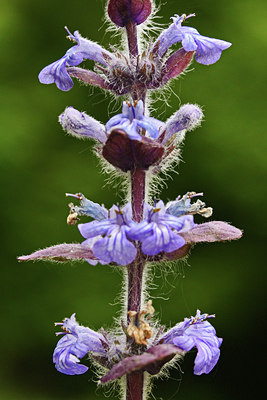 BUITEN BEELD Foto: 86545