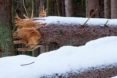 BUITEN BEELD Foto: 86629