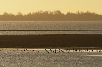 BUITEN BEELD Foto: 86635