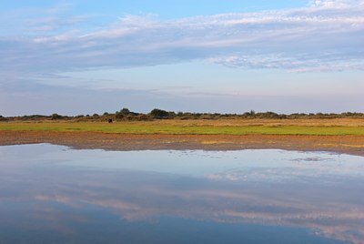 BUITEN BEELD Foto: 86654