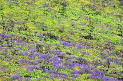 BUITEN BEELD Foto: 86657
