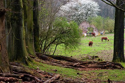 BUITEN BEELD Foto: 86659