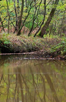 BUITEN BEELD Foto: 86676