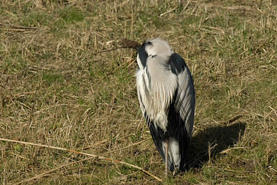 BUITEN BEELD Foto: 86708