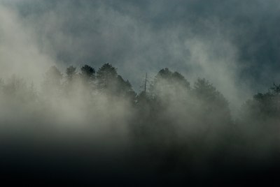 BUITEN BEELD Foto: 86737