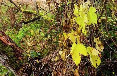 BUITEN BEELD Foto: 86758