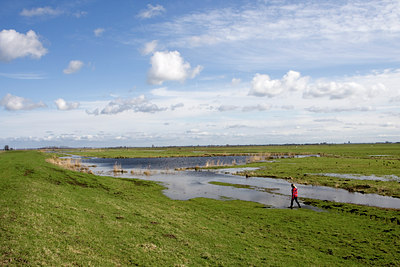 BUITEN BEELD Foto: 86802