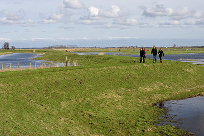 BUITEN BEELD Foto: 86823