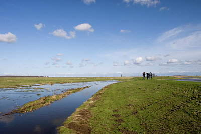 BUITEN BEELD Foto: 86825