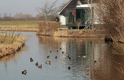 BUITEN BEELD Foto: 86934