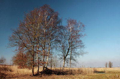 BUITEN BEELD Foto: 86938