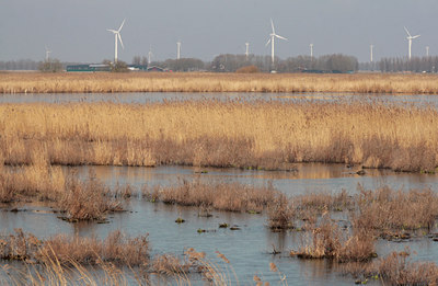 BUITEN BEELD Foto: 86944