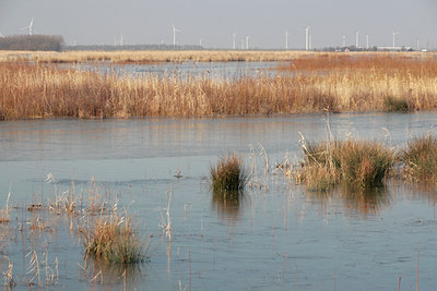 BUITEN BEELD Foto: 86945
