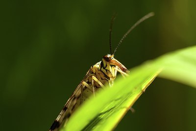 BUITEN BEELD Foto: 86976