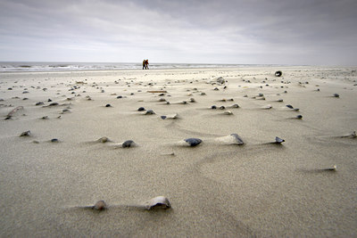 BUITEN BEELD Foto: 86991