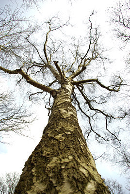 BUITEN BEELD Foto: 87025