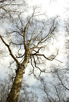 BUITEN BEELD Foto: 87026