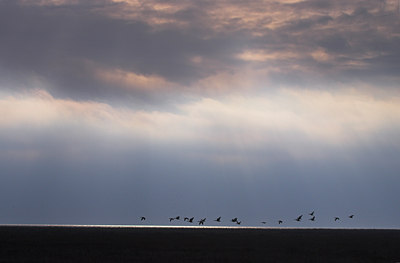 BUITEN BEELD Foto: 87068