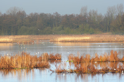 BUITEN BEELD Foto: 87085