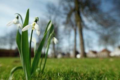 BUITEN BEELD Foto: 87214