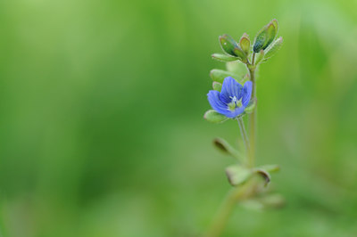 BUITEN BEELD Foto: 87232