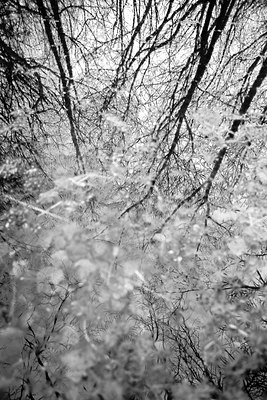 BUITEN BEELD Foto: 87265