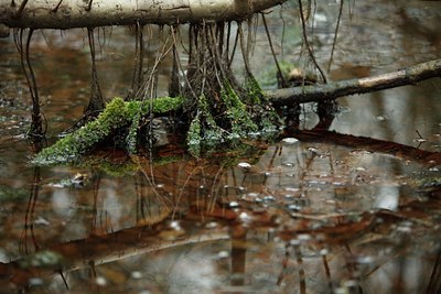 BUITEN BEELD Foto: 87280