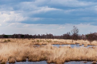 BUITEN BEELD Foto: 87287