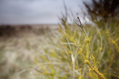 BUITEN BEELD Foto: 87317