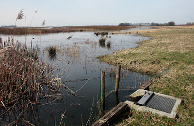 BUITEN BEELD Foto: 87325