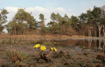 BUITEN BEELD Foto: 87343