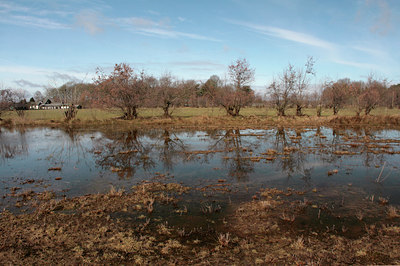 BUITEN BEELD Foto: 87348