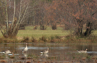 BUITEN BEELD Foto: 87358