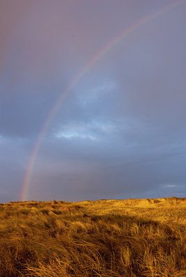 BUITEN BEELD Foto: 87368