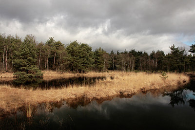 BUITEN BEELD Foto: 87377