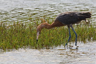 BUITEN BEELD Foto: 87434