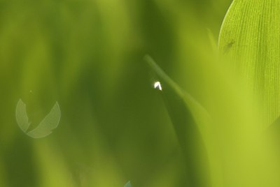 BUITEN BEELD Foto: 87508