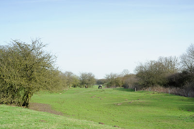 BUITEN BEELD Foto: 87522