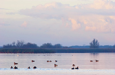 BUITEN BEELD Foto: 87532