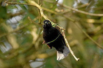 BUITEN BEELD Foto: 87549